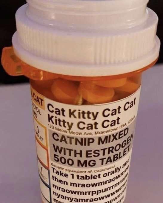 a CVS or Walgreens perscription pill bottle with the fake catnip mixed with estrogen label on it